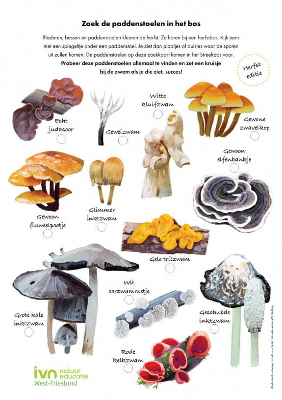Weekopdracht 7 - paddenstoelen