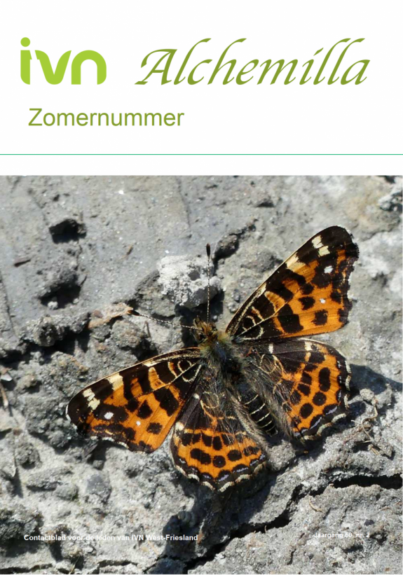 Zomer_2022_1