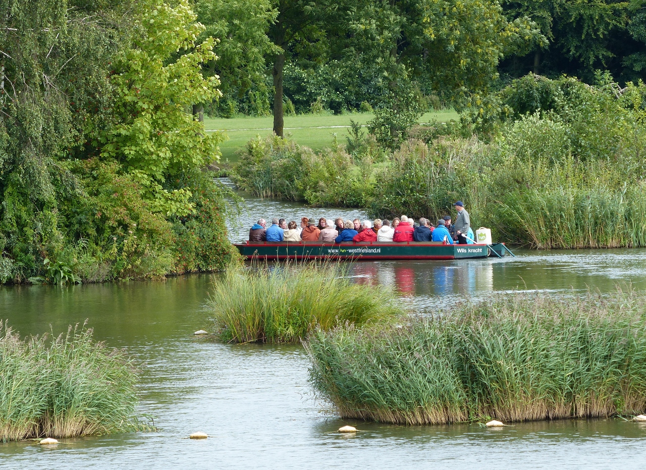 fluistervaren