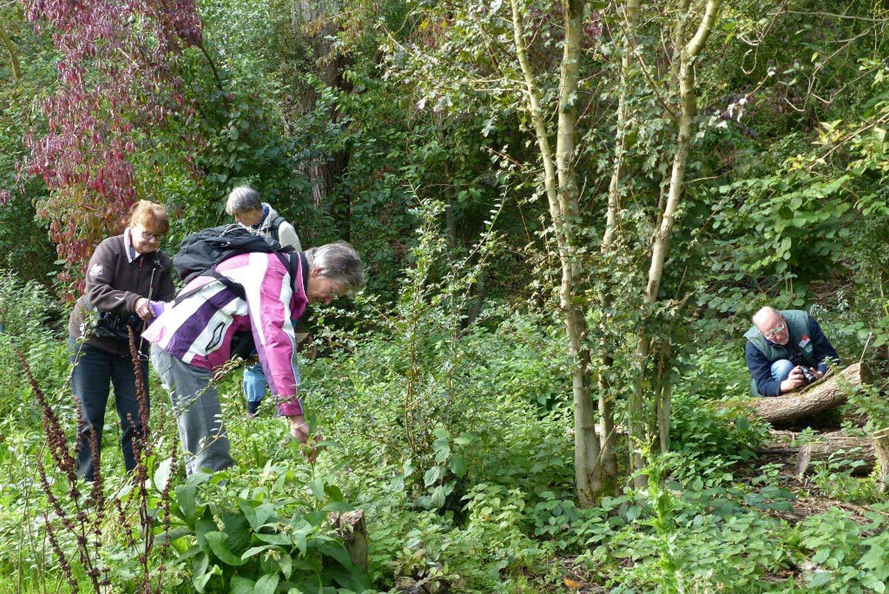 inventariseren in de natuur