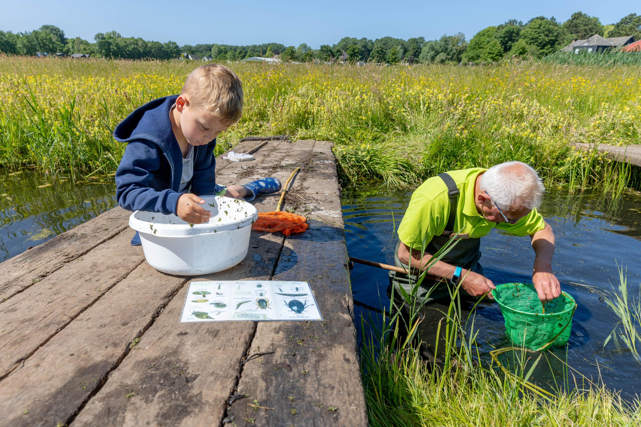 Een kind en een oudere man onderzoeken waterleven met een bak en net bij een vijver in de natuur.