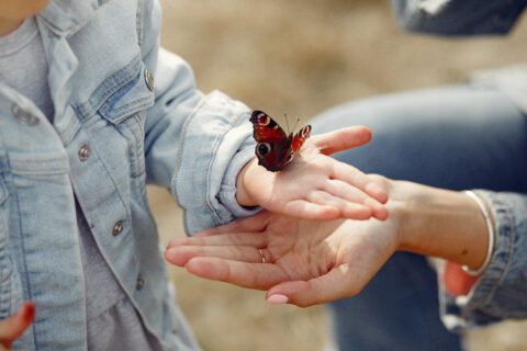 Kind in spijkerjas met vlinder op de hand.