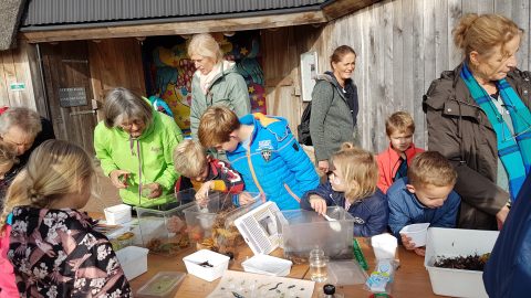 IVN Jong Westerveld werkt mee aan de mammoetdag op het Holtingerveld