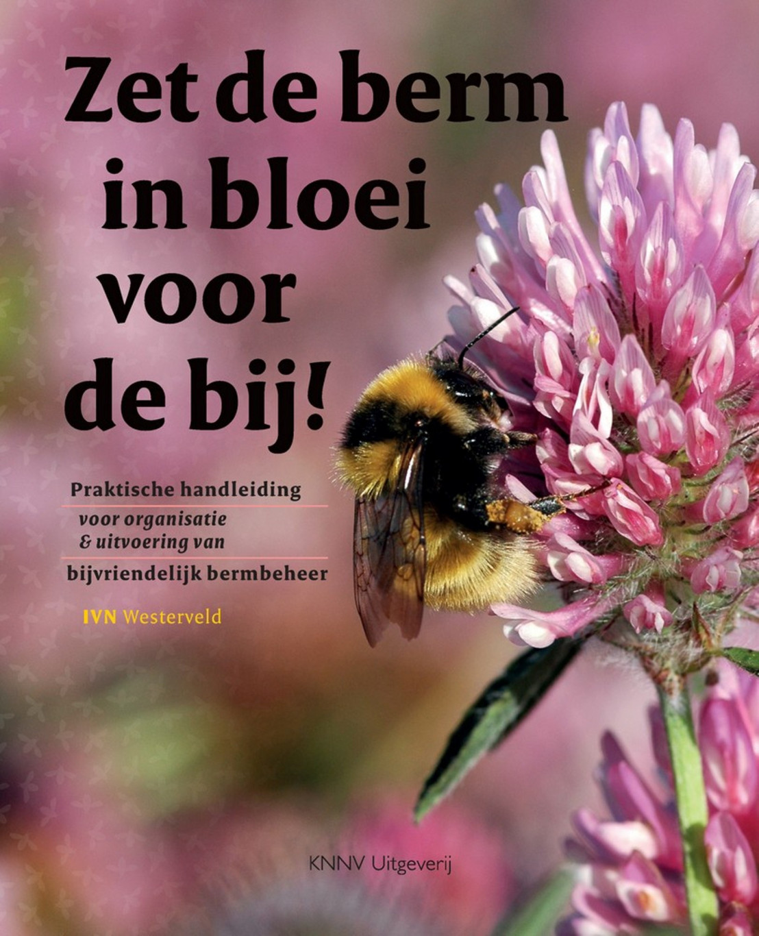 Zet de berm in bloei voor de bij!