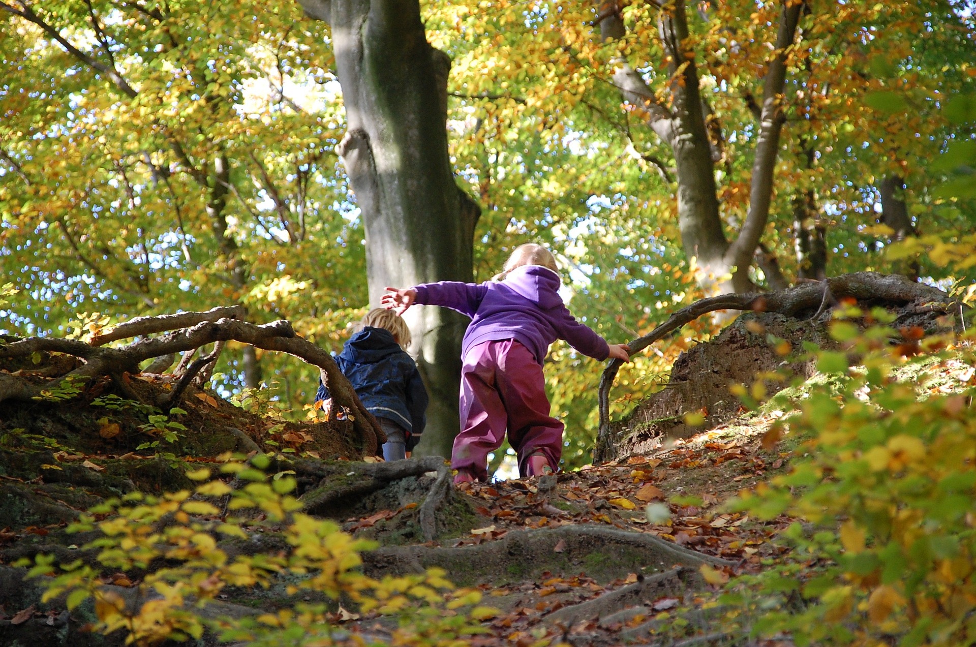 Kinderen in bos
