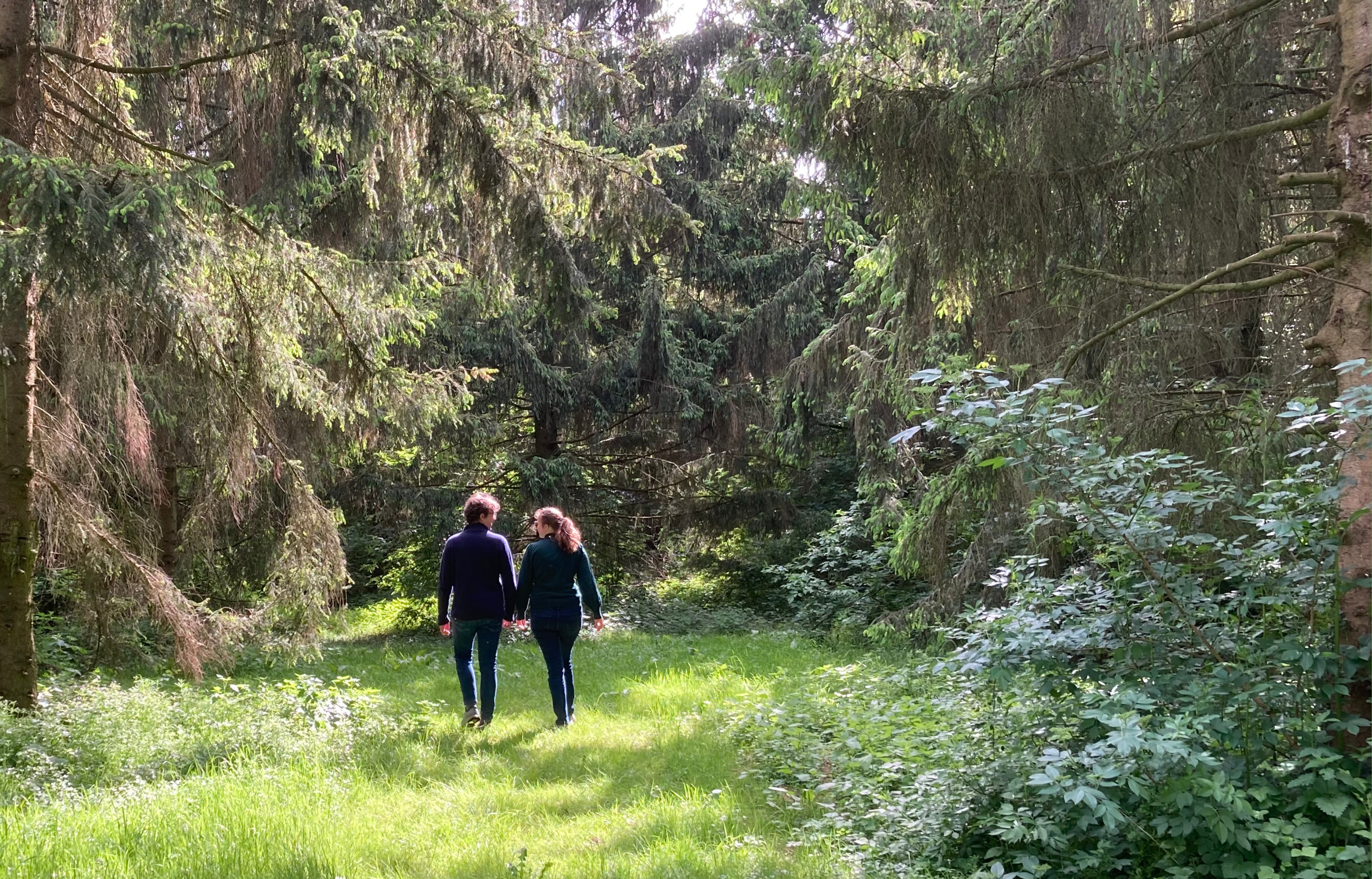 Twee personen wandelen hand in hand op een bospad omgeven door hoge bomen.