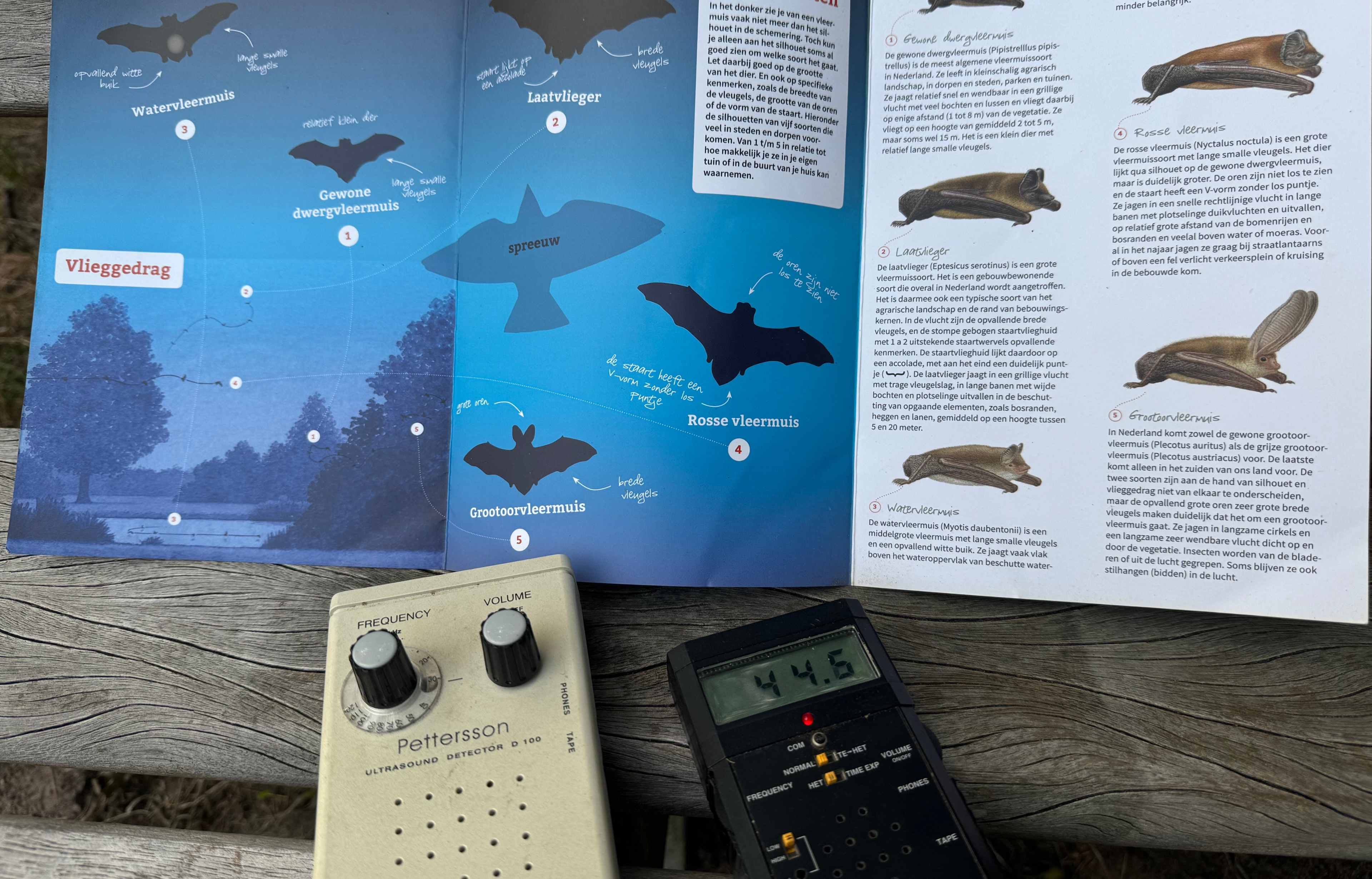 Brochure over vleermuizen en ultrasone detector gebruiken op een houten tafel.