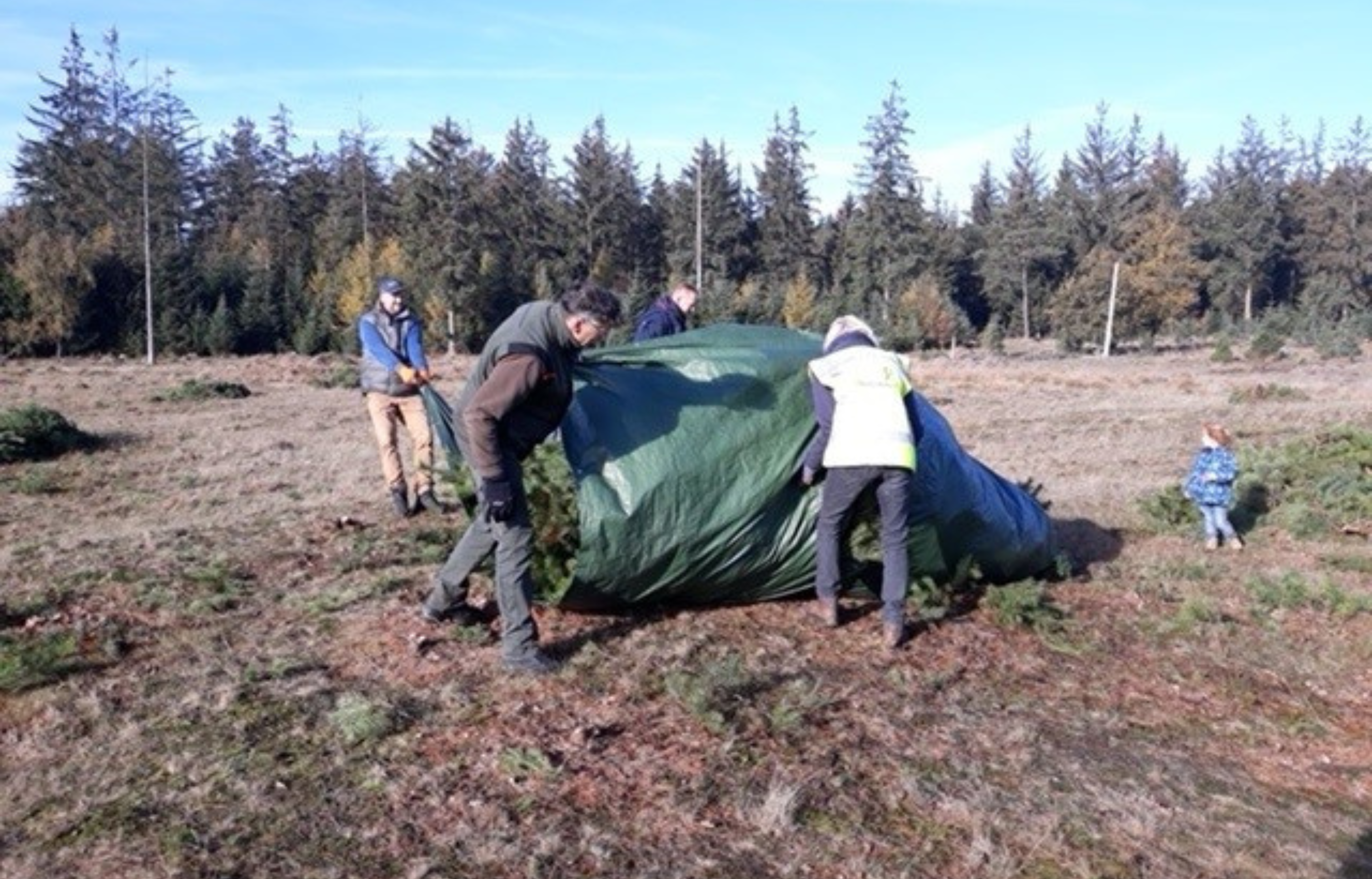 Vier mensen wikkelen een groot object in een groen zeil op een open veld. Een kind kijkt toe.