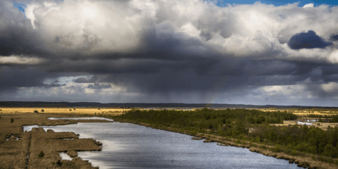 Dramatische wolken boven een uitgestrekt moeraslandschap met water in de voorgrond.