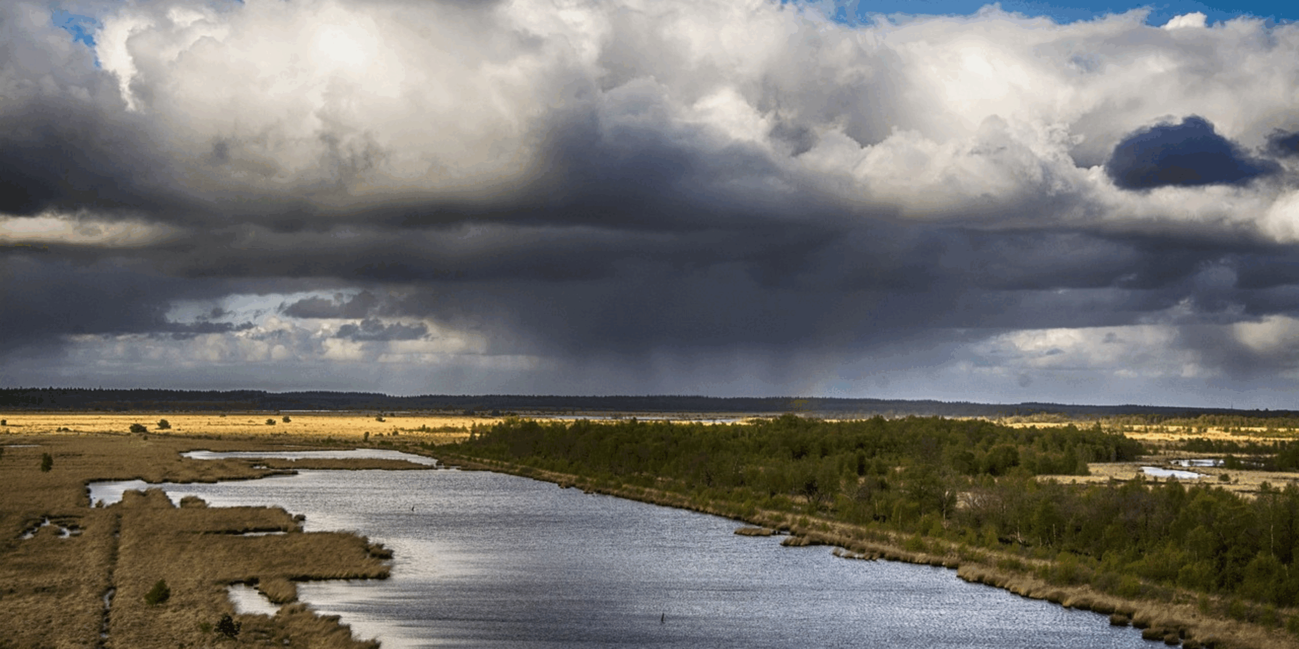 Dramatische wolken boven een uitgestrekt moeraslandschap met water in de voorgrond.