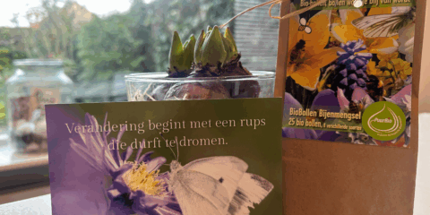 Zadenpakket en kaart met vlinder en tekst: "Verandering begint met een rups die durft te dromen."