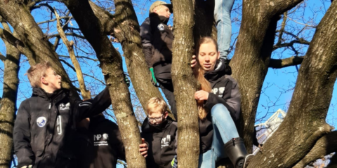 Kinderen klimmen in een boom op een zonnige dag, gekleed in jassen met NP-logo's.
