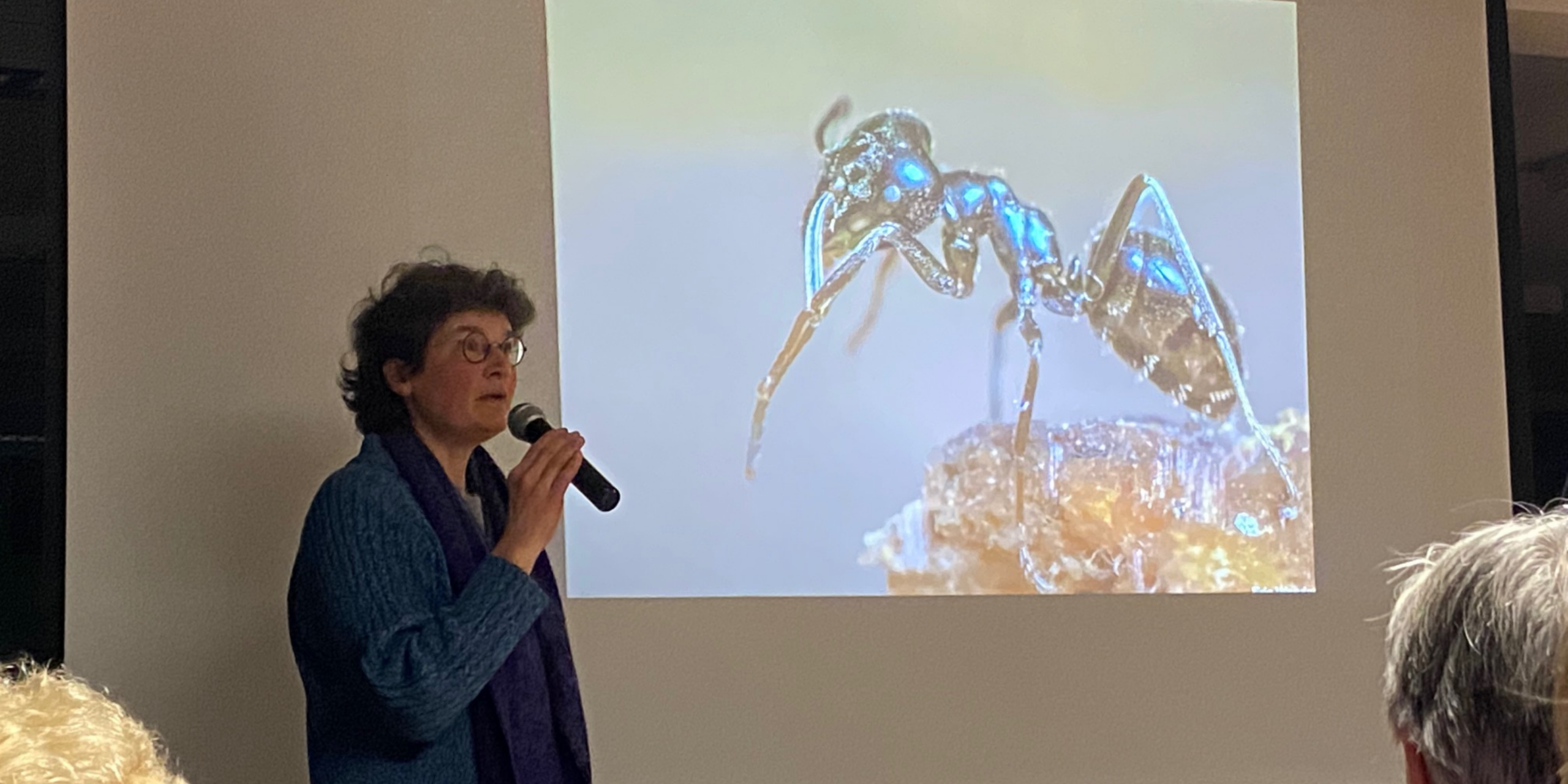 Persoon geeft presentatie over een projectie van een glanzende mier op een scherm.