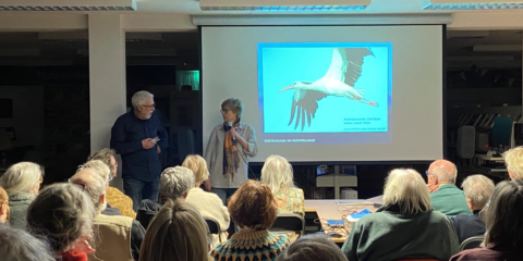 Presentatie in een zaal met publiek; spreker toont dia van een vliegende ooievaar.