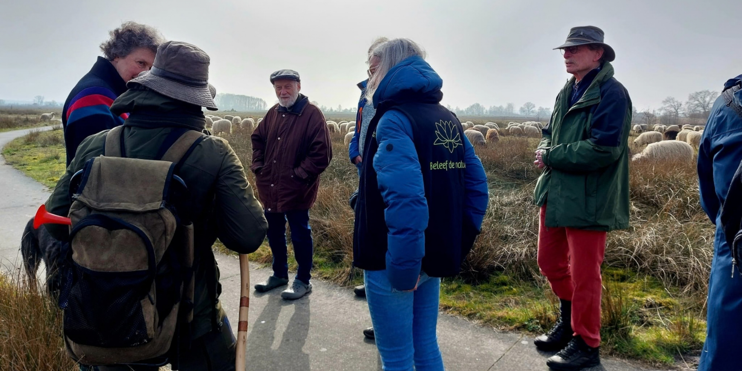 Groep mensen praat op een pad naast een kudde schapen in een open landschap.