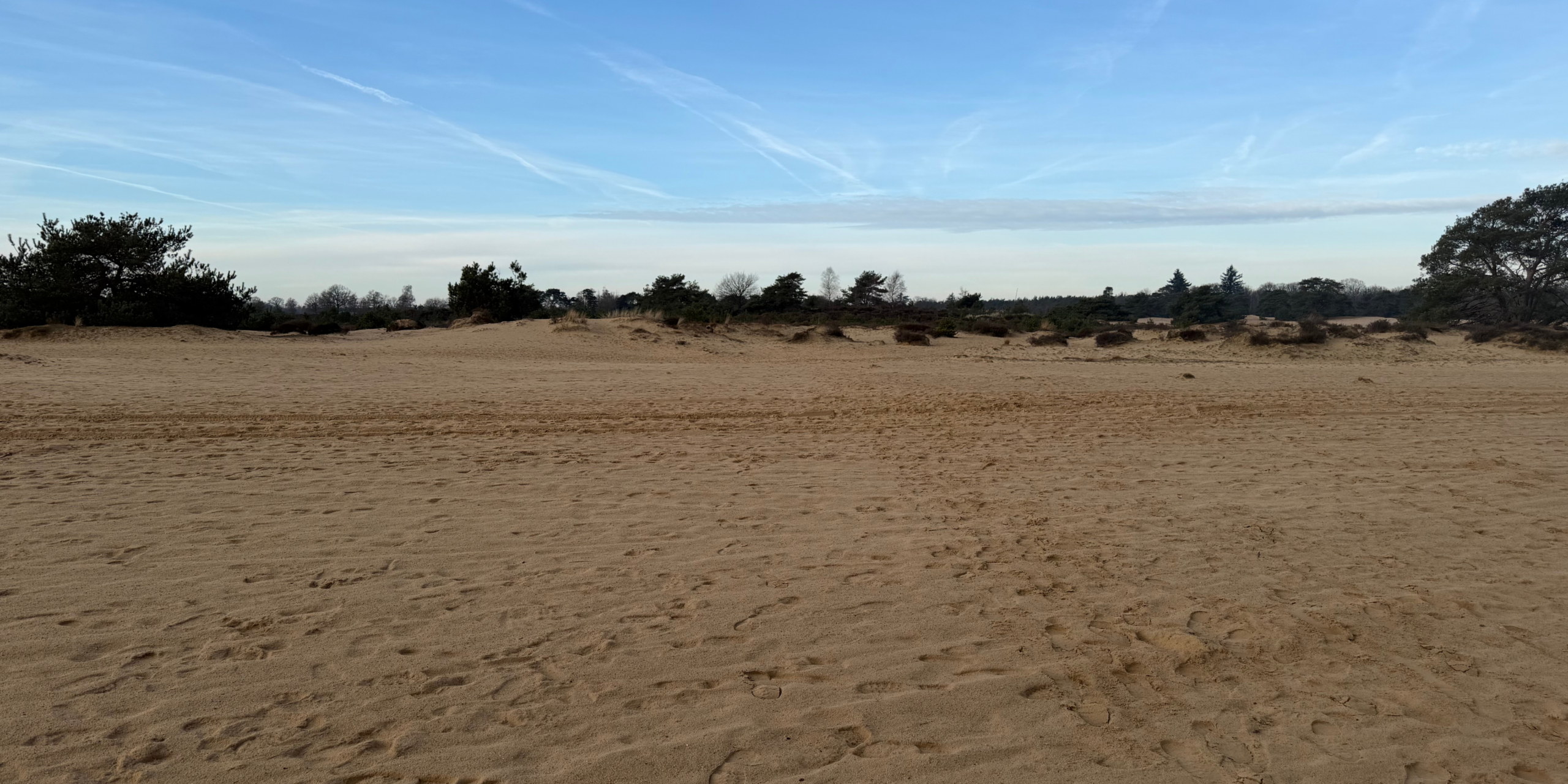 Woestijnachtig landschap met zand, verspreide struiken en een heldere blauwe lucht.