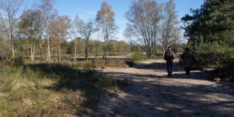 Twee mensen wandelen op een bospad onder een heldere hemel, omringd door bomen.