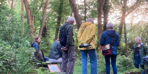 Mensen staan samen in een bos, omgeven door hoge bomen en groene bladeren.