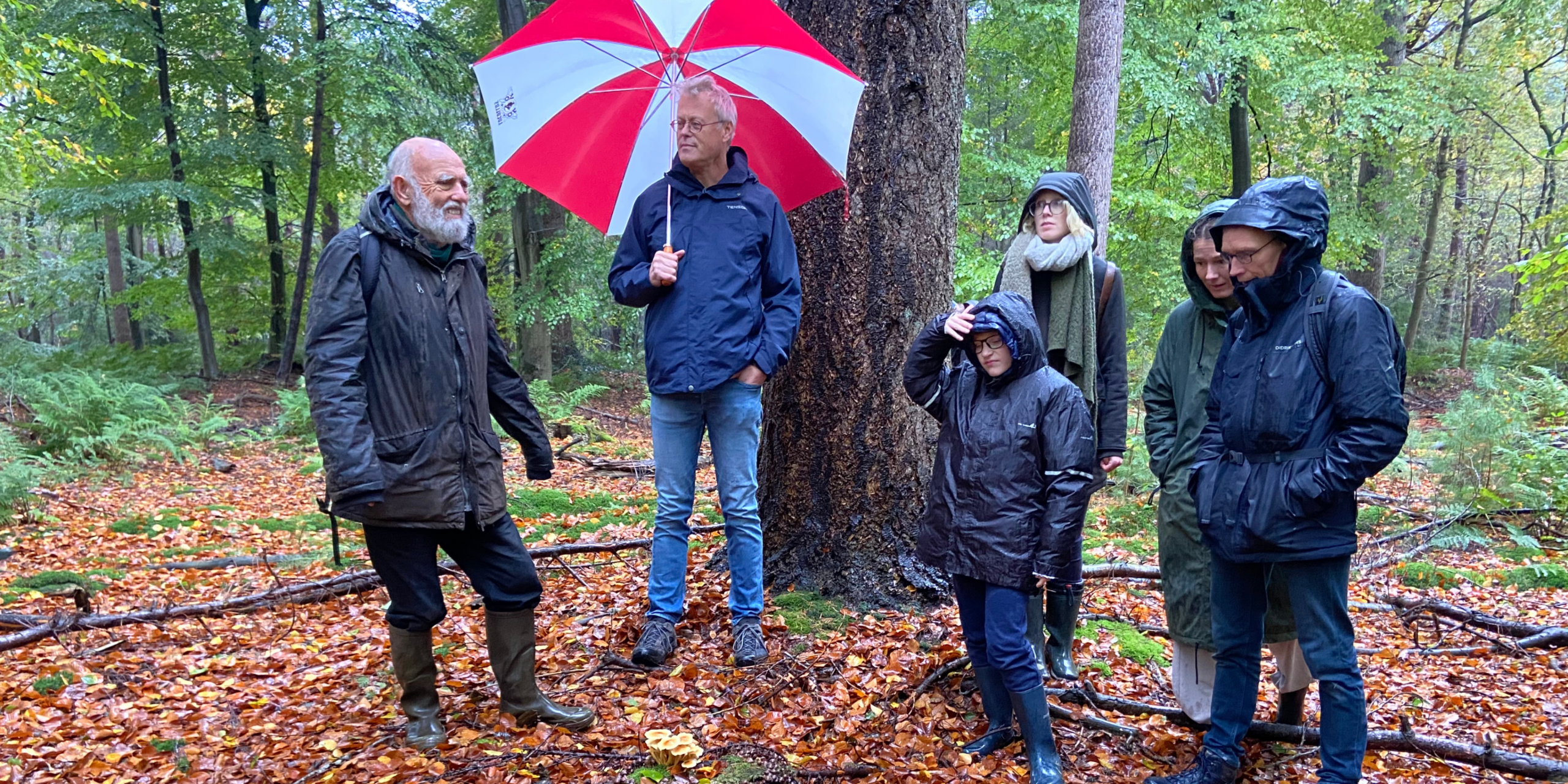 Groep mensen loopt in een bos in de regen, één met een rood-witte paraplu.