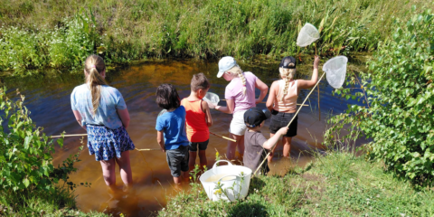 Kinderen met netten vangen waterdieren aan de oever van een beekje op een zonnige dag.