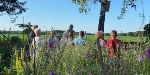 Een groep mensen luistert naar een spreker in een bloemenveld met een groene achtergrond.