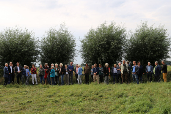 Huiszwaluwentil bewonderen