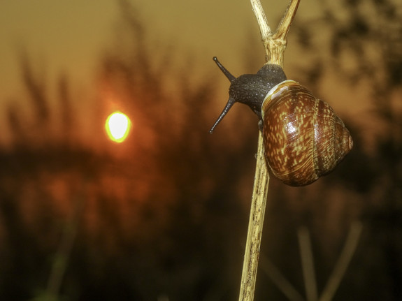 3e rpijs fotowedstrijd Ada Tolboom