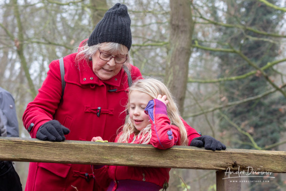 Kerstwandeling