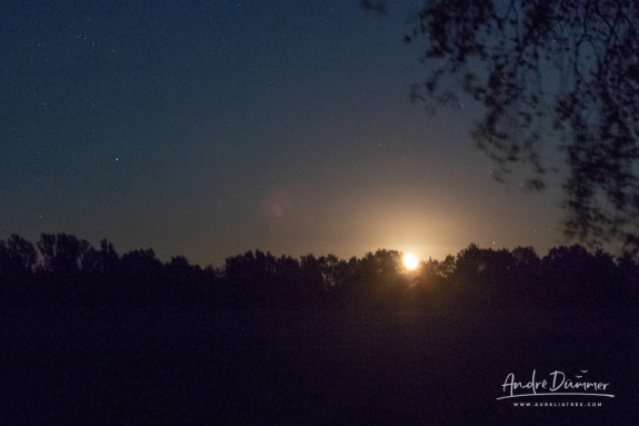 Nacht van de nacht
