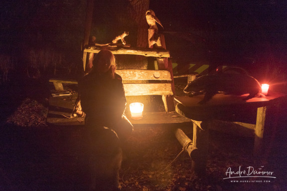 Nacht van de nacht