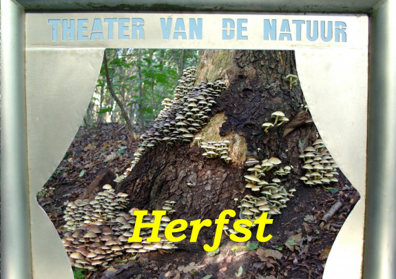 Aanvangsfoto herfst