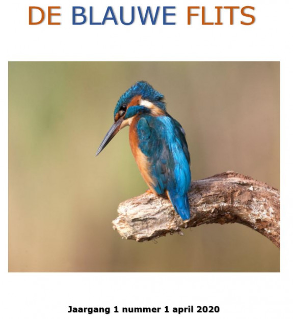 Titelblad Blauwe Flits