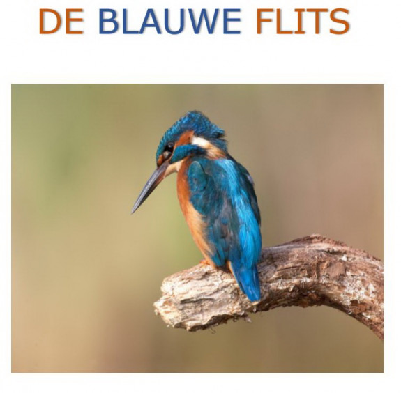 IJsvogel André Eijkenaar