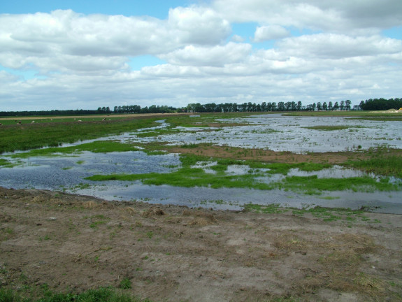 De Gaast hermeandering Westerwoldse Aa