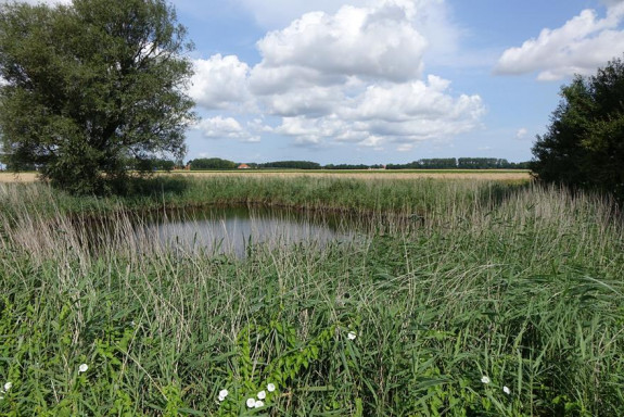 Kolk Oudnieuwlandseweg