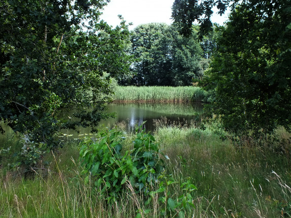 kolk, Kompenkolk