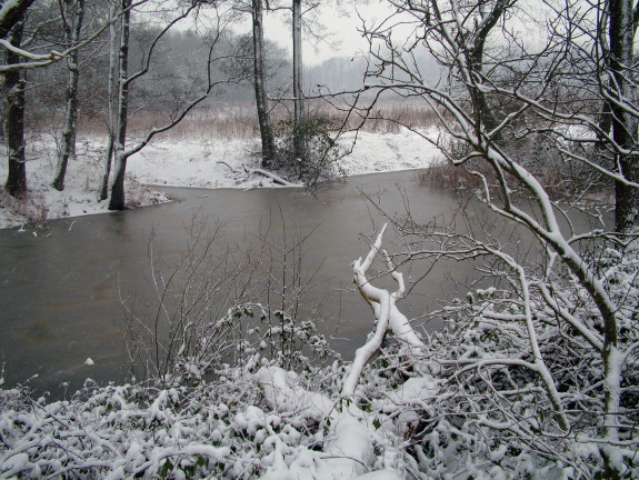 Meer van Geneve Jeuge kolk