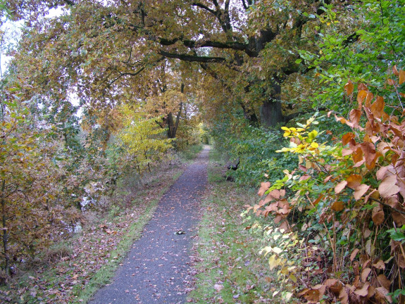 Veendiepfietspad