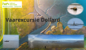 Luchtfoto van de Dollard met tekst: "Vaarexcursie Dollard" en natuureducatie logo.