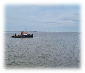 Een boot vaart op een rustige zee, met een uitgestrekte horizon en bewolkte lucht.
