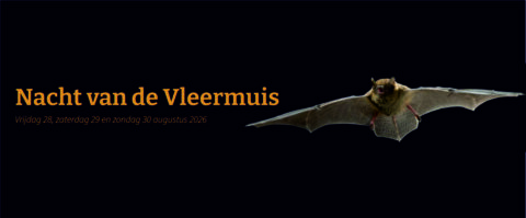 "Nacht van de Vleermuis 2026 met vleermuis in vlucht tegen zwarte achtergrond."