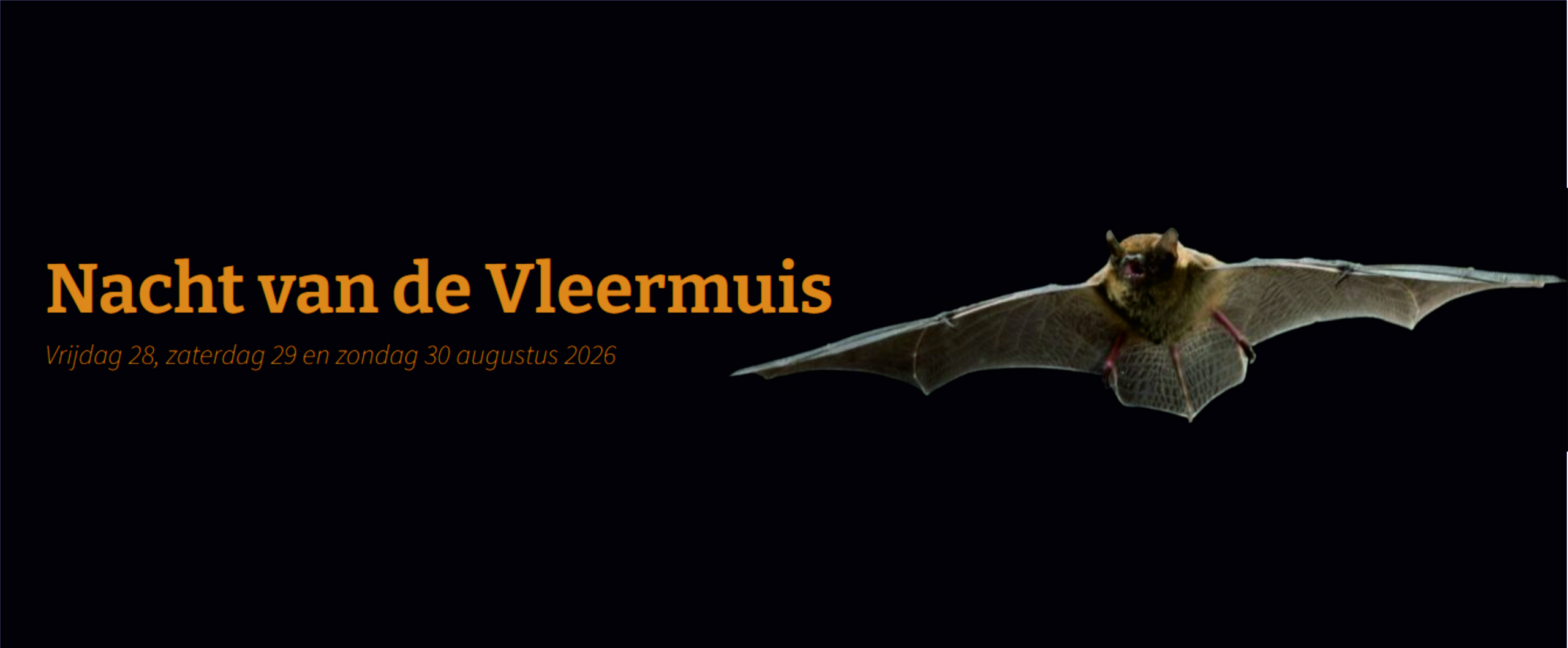 "Nacht van de Vleermuis 2026 met vleermuis in vlucht tegen zwarte achtergrond."