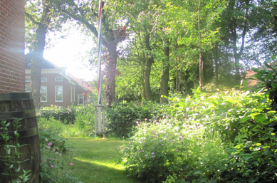 Zonnige tuin met bloemen, bomen en een bakstenen gebouw op de achtergrond.