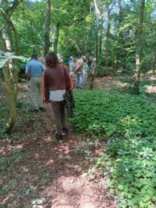 de tuin van Arnold