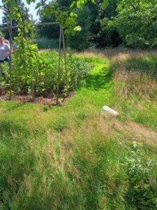 de tuin van Arnold