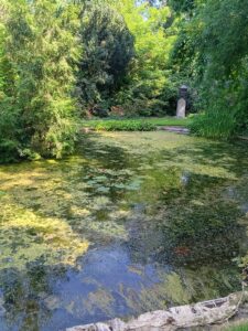 de tuin van Piet