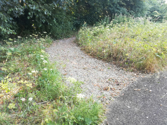 heemtuin ruigte