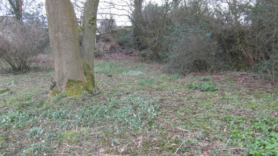 heemtuin stinzenhoek