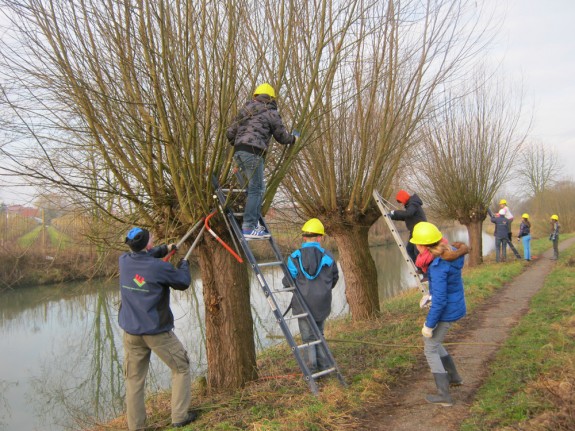 Knotten scholieren