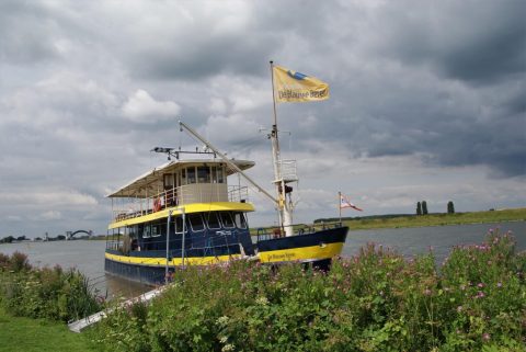 Blauwe Bever